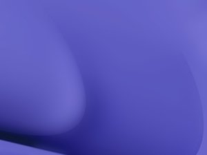 SEO优化